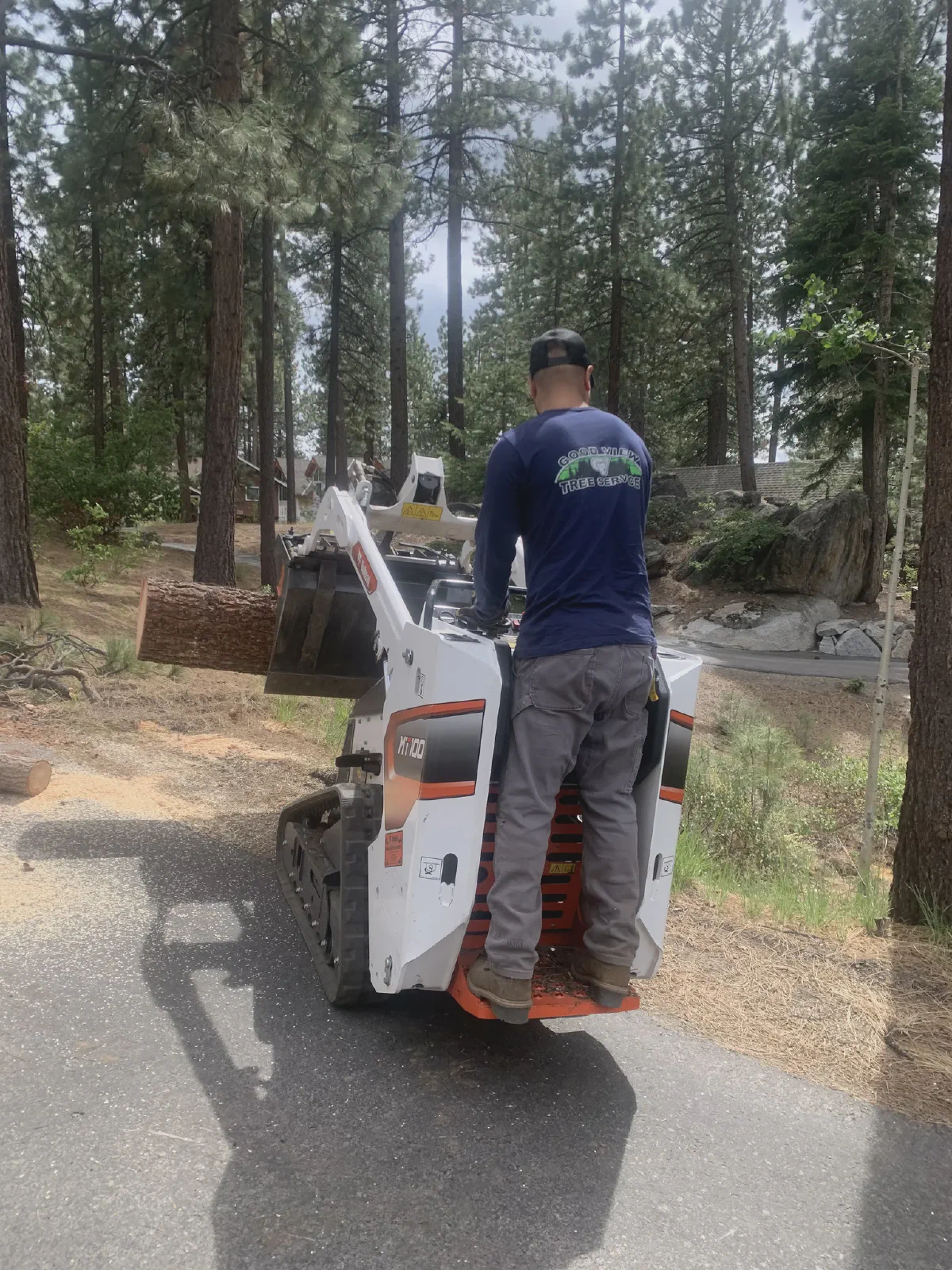 Tree Removal