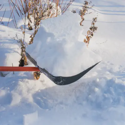 Snow Removal