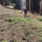 Defensible Space