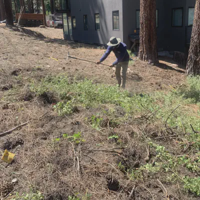 Defensible Space