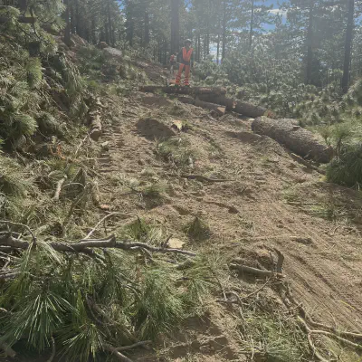 Storm Damage